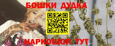 шишки Пыть-Ях
